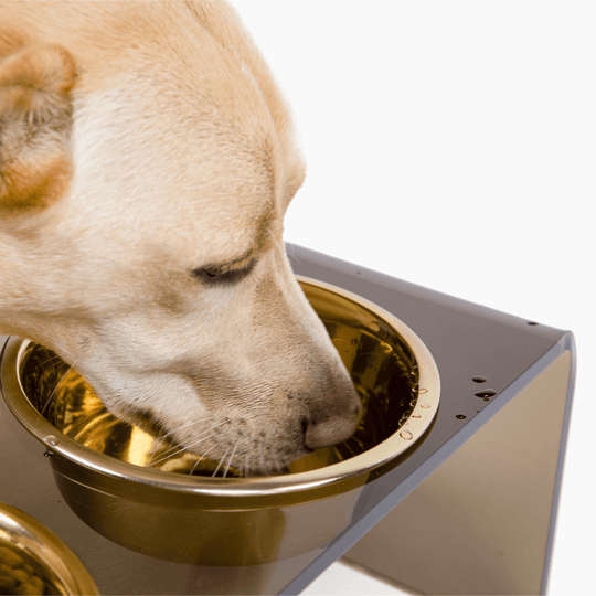 Medium Bronze Feeder