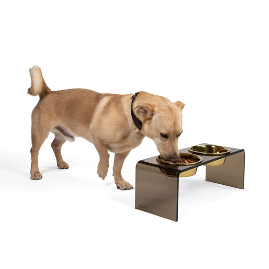 hiddin bronze brown lucite dog bowl feeder