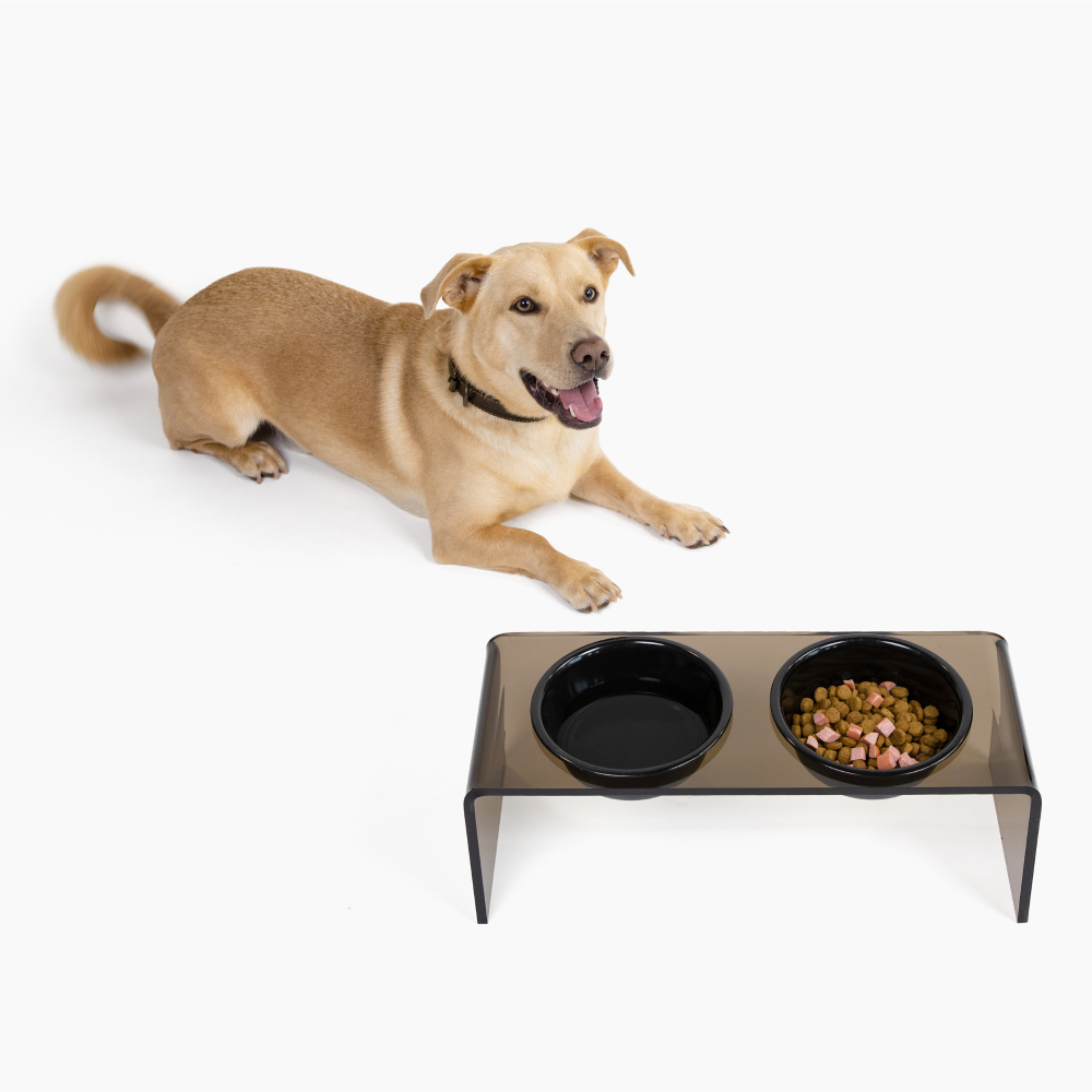 hiddin bronze brown lucite dog bowl feeder