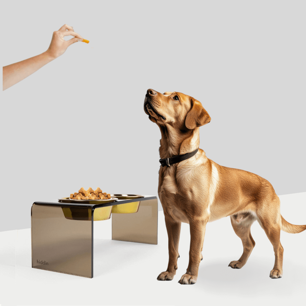 Medium Bronze Feeder