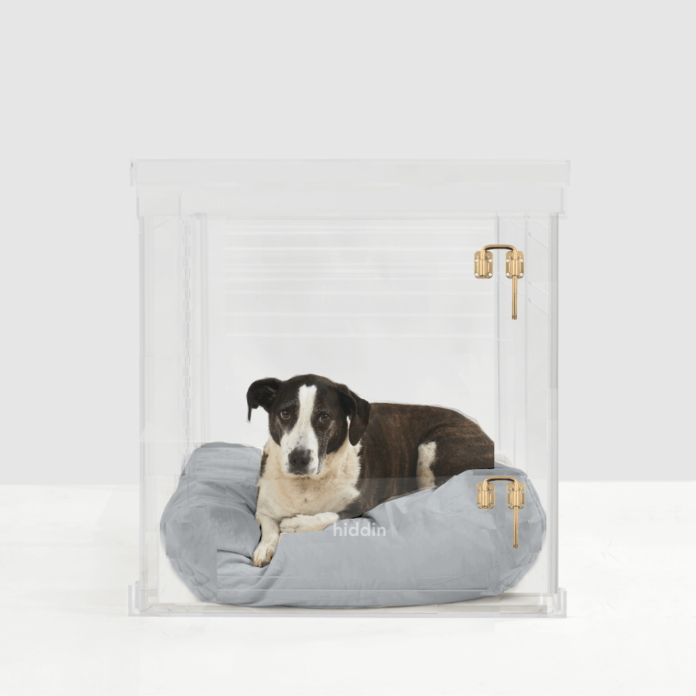 Large Crate (Gold Latch)