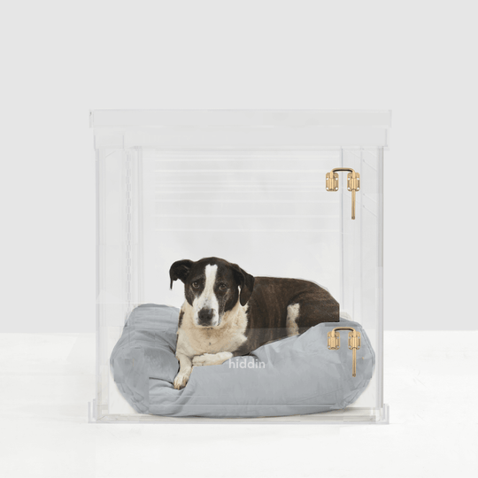 Large Crate (Gold Latch)