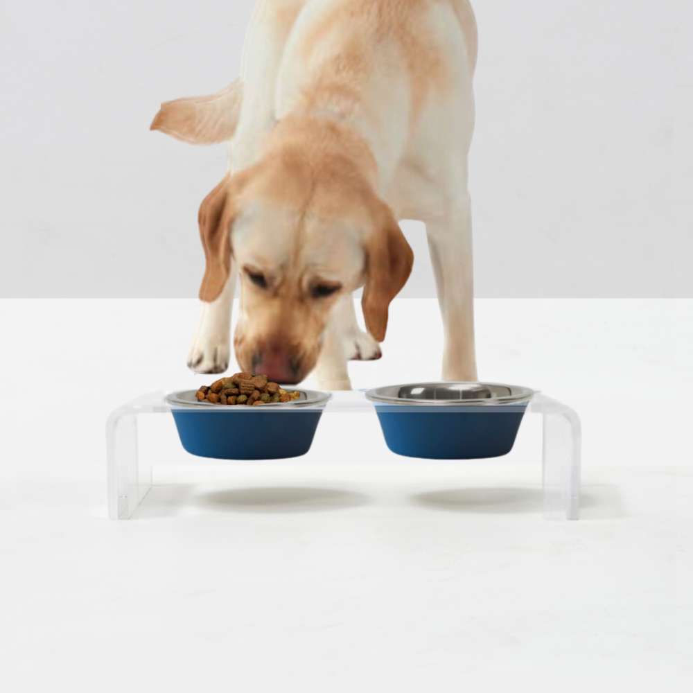 2 Tone Feeder