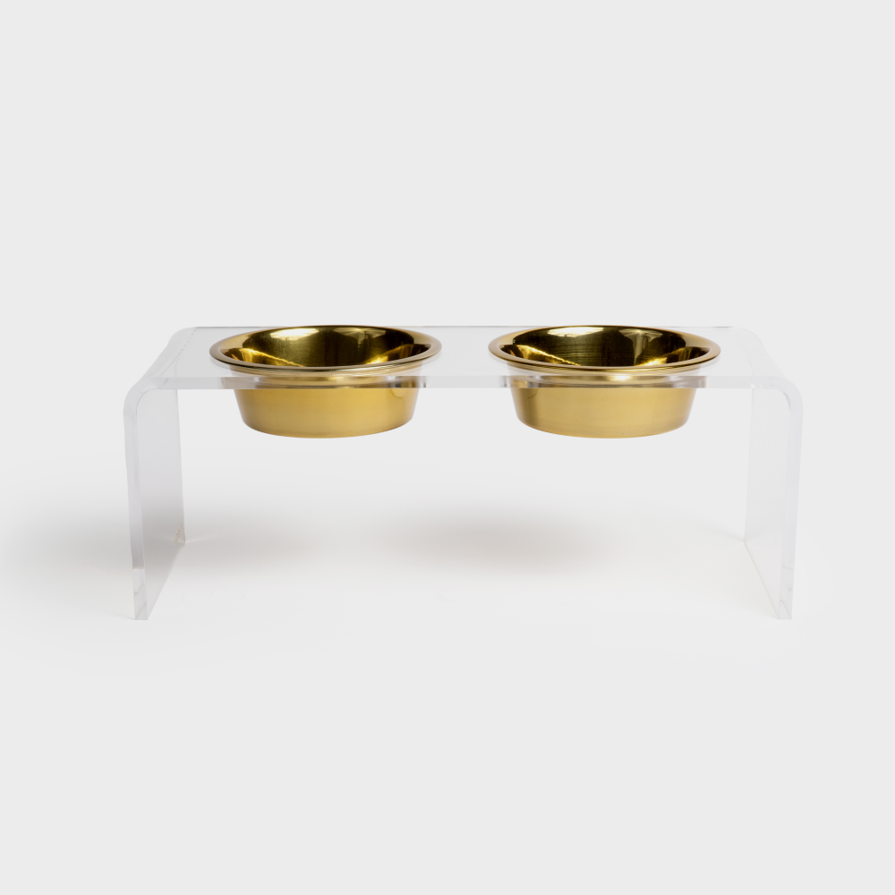 hiddin clear lucite gold bowl dog feeder