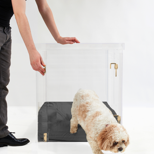 Medium Crate (Gold Latch)