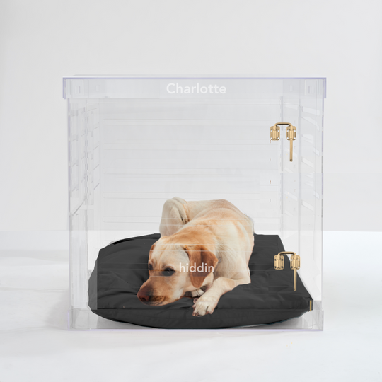 Monogram Large Crate (Gold Latch)