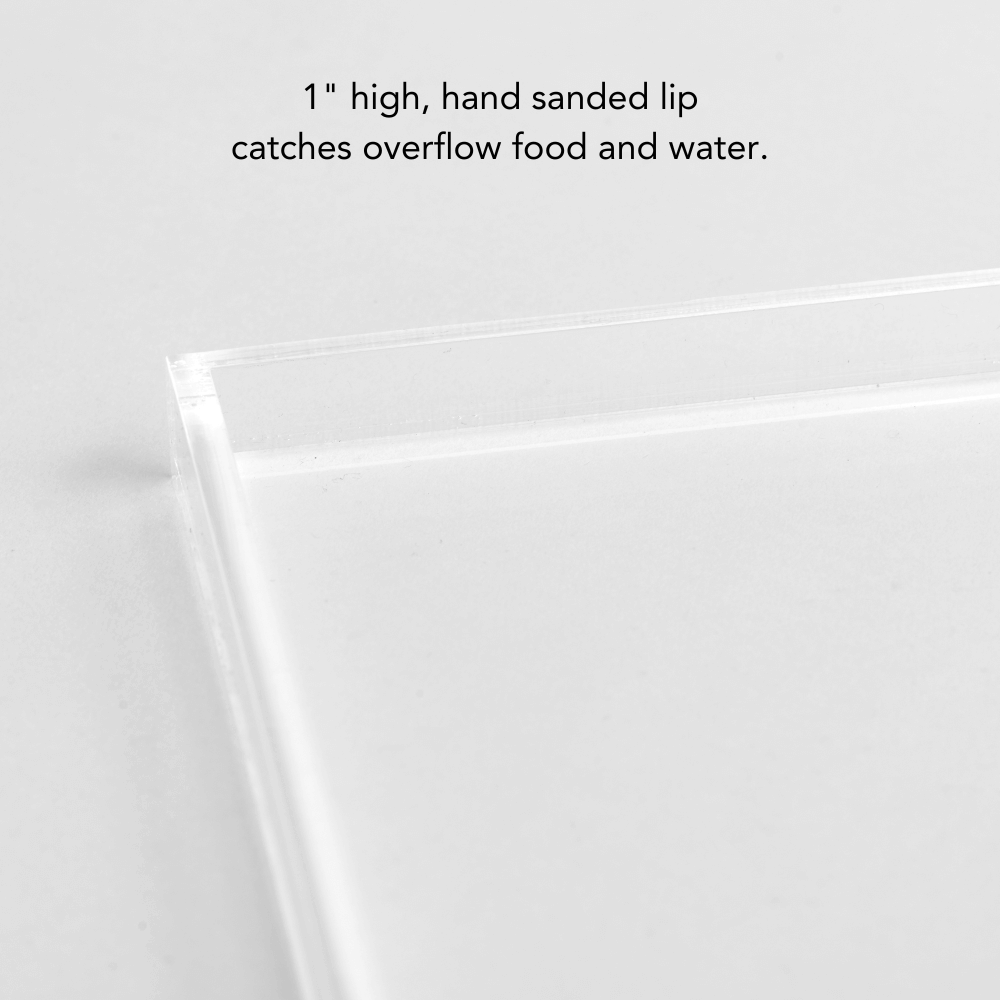 Clear Overflow Feeder Tray