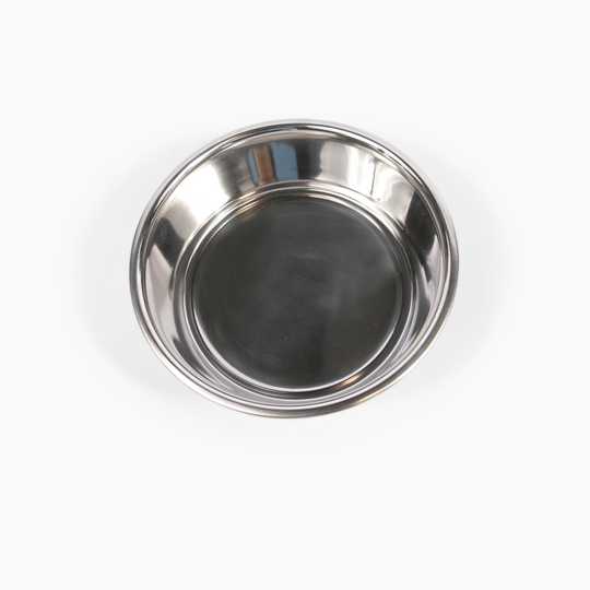 hiddin clear lucite silver bowl dog feeder