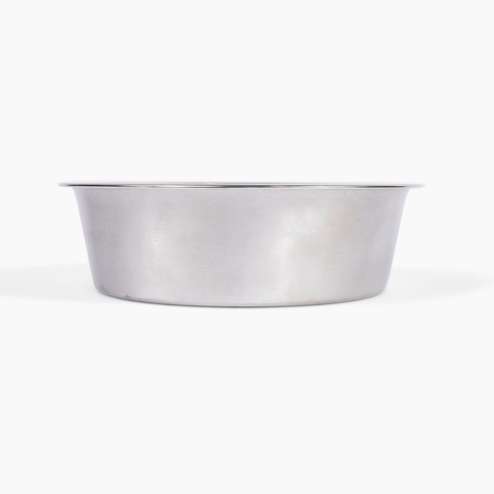 hiddin clear lucite silver bowl dog feeder