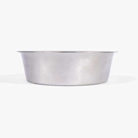 hiddin clear lucite silver bowl dog feeder