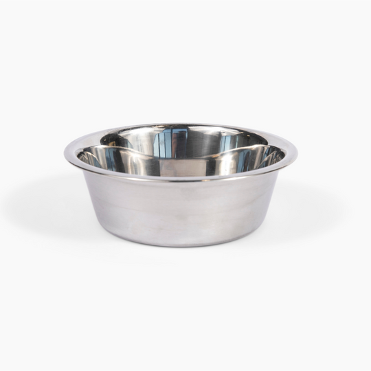 hiddin clear lucite silver bowl dog feeder