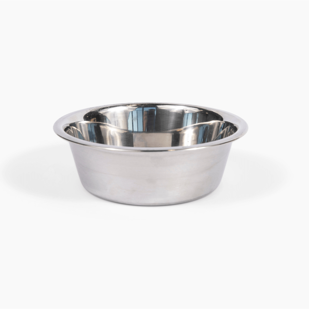 Tall Silver Double Feeder