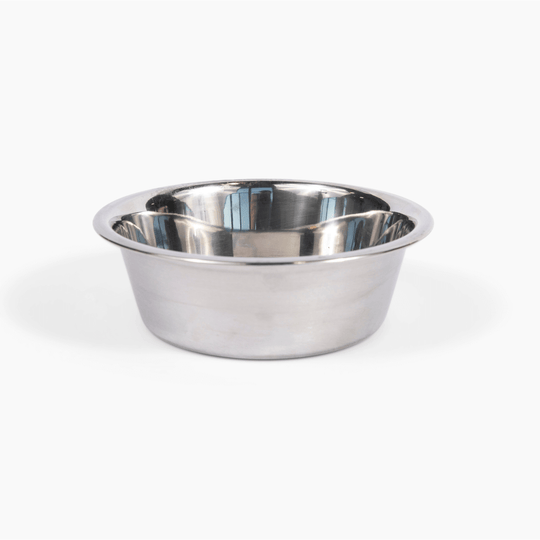 Tall Silver Double Feeder