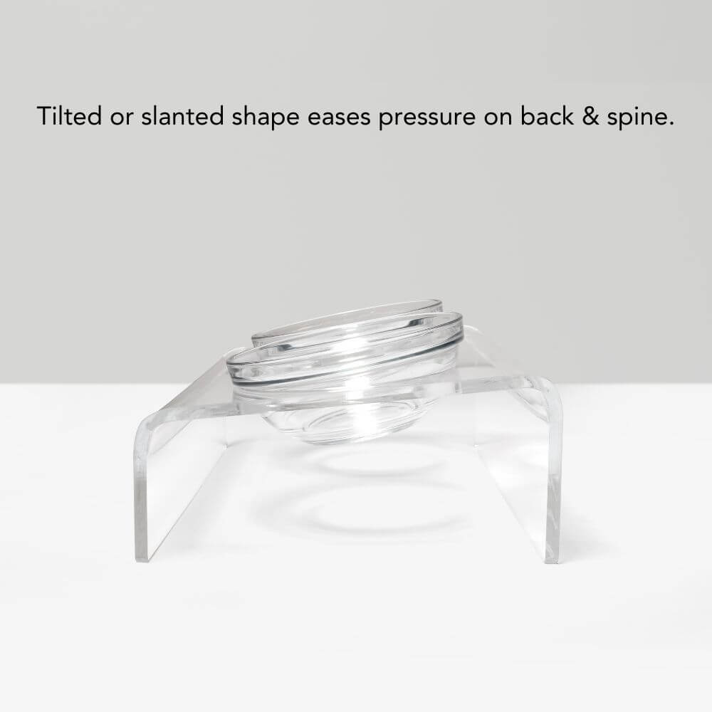 Slant Glass Bowl Feeder