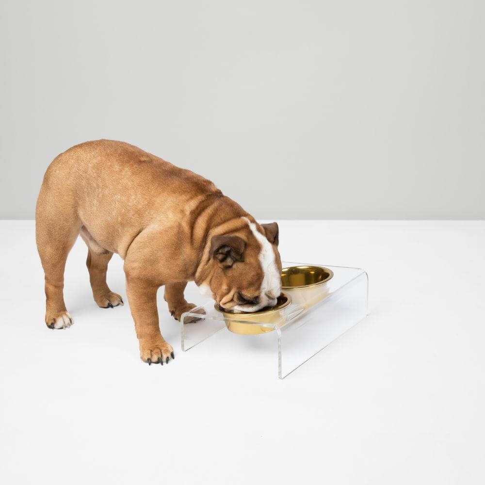Monogram Slant Gold Feeder