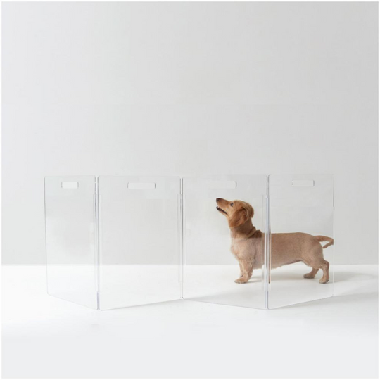 hiddin clear lucite zig zag pet gate