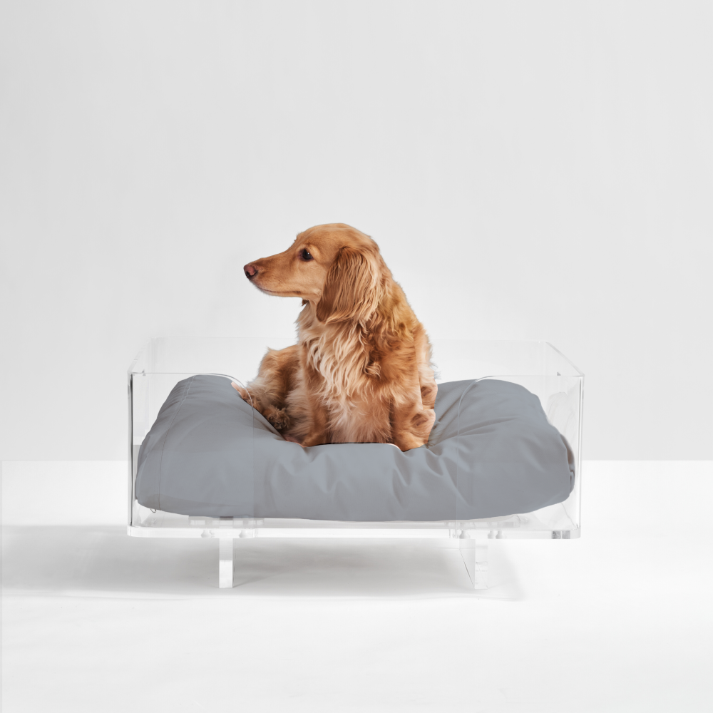Rectangle plastic dog bed cheap