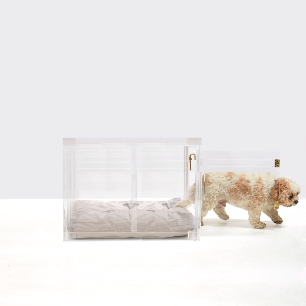 Monogram Medium Crate (Gold Latch)