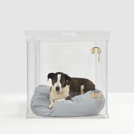 Monogram Medium Crate (Gold Latch)
