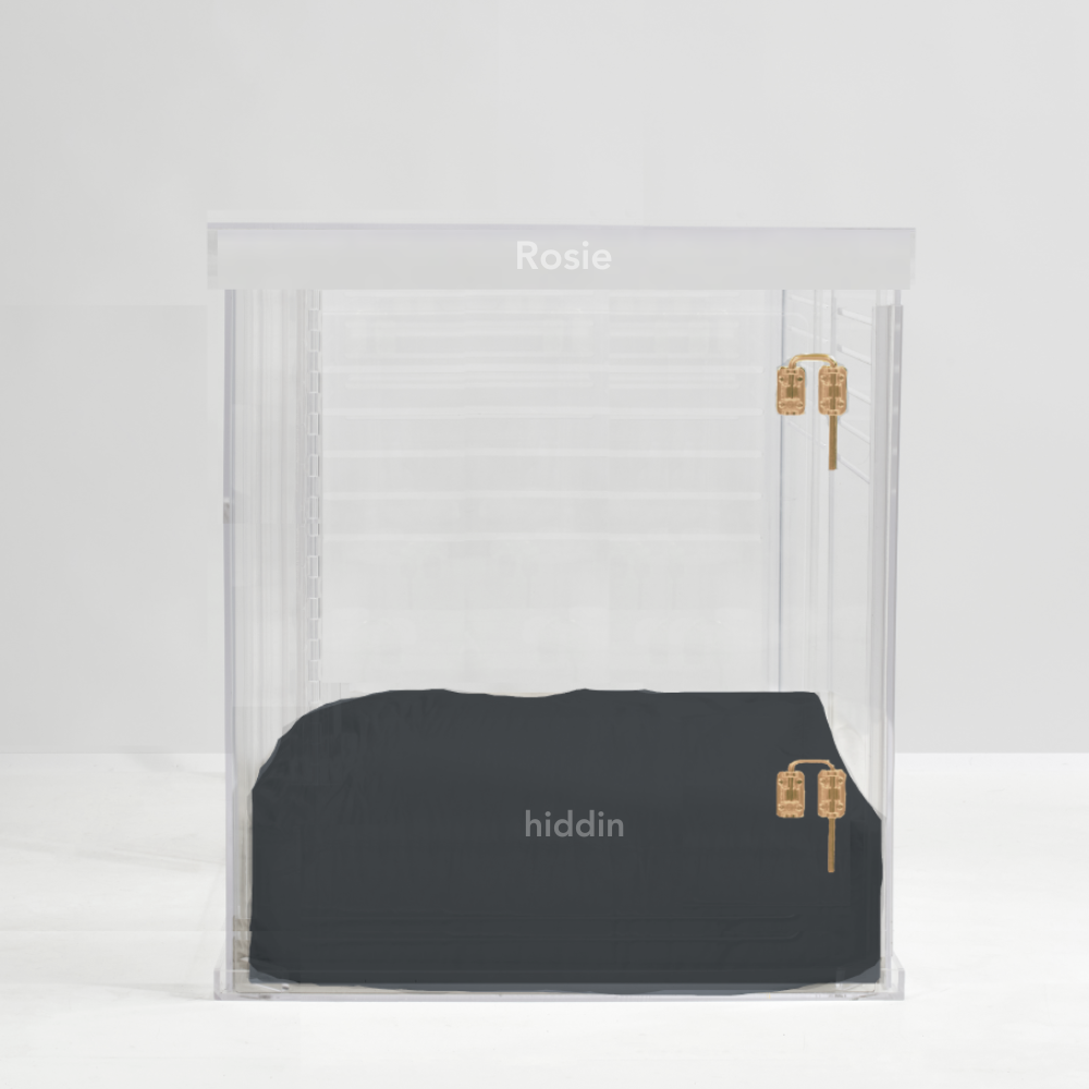 Monogram Large Crate (Gold Latch)