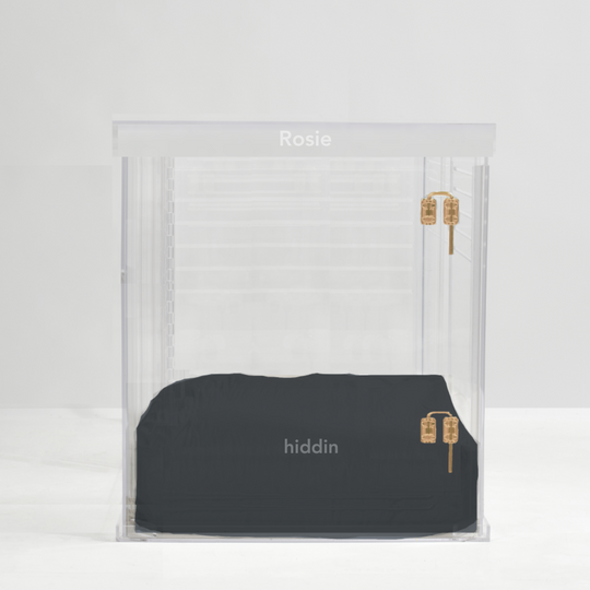 Monogram Large Crate (Gold Latch)