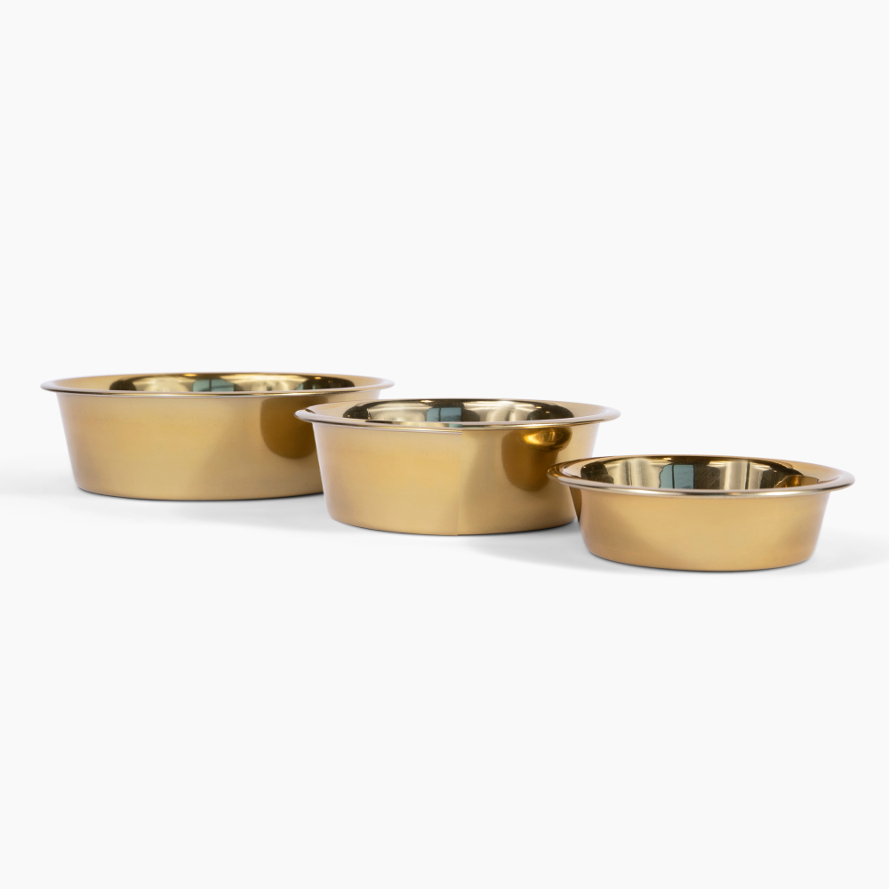 Slant Gold Feeder