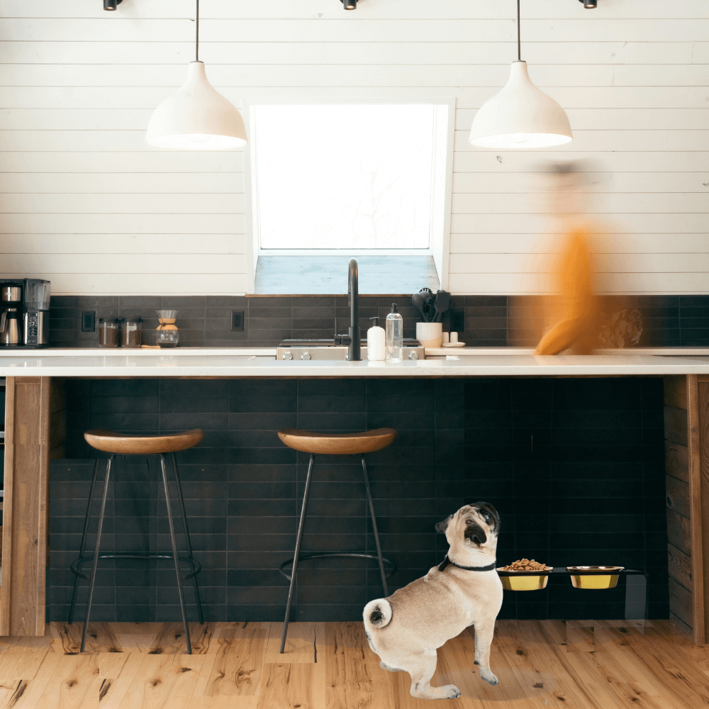 Medium Smoke Grey Feeder