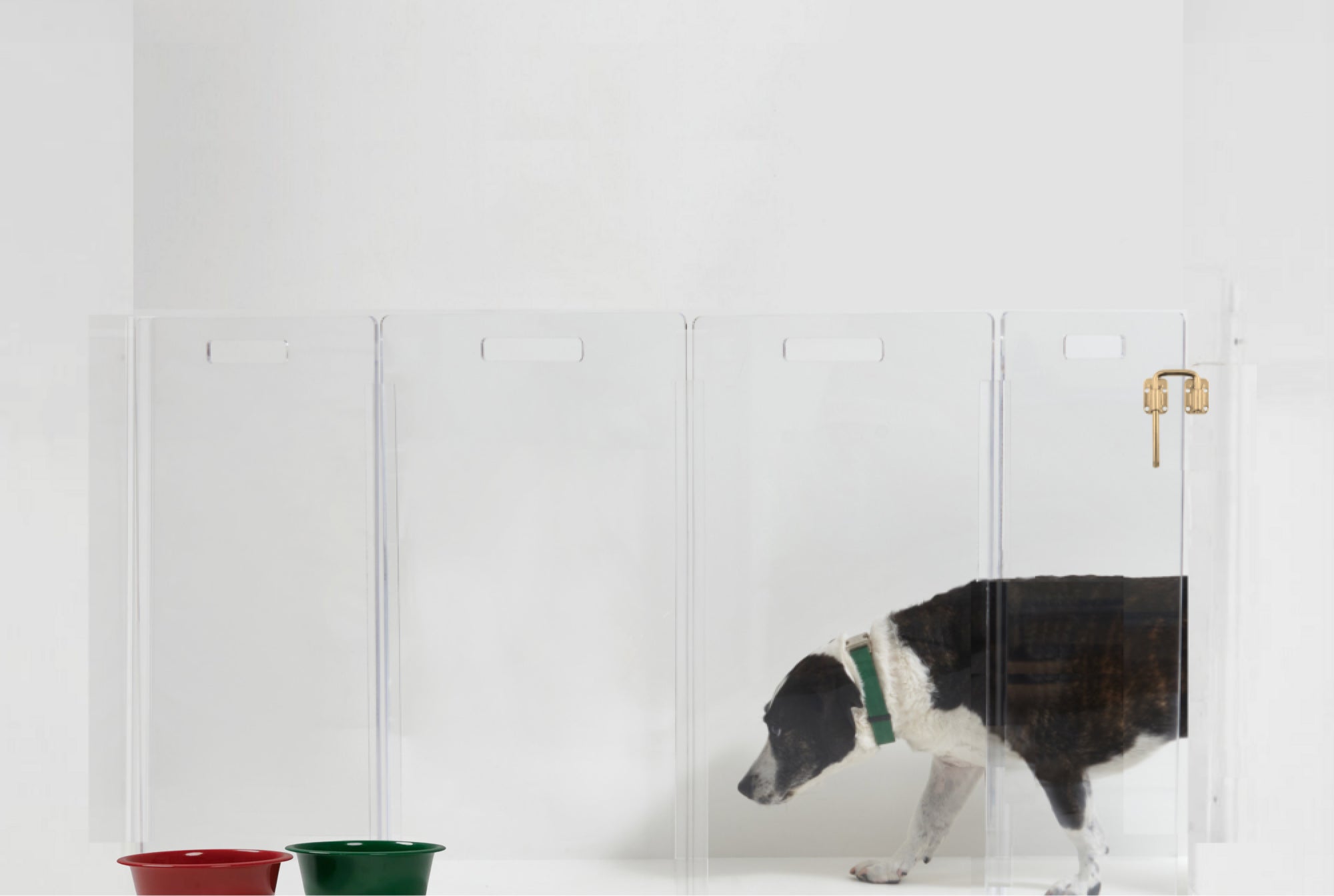 Clear Acrylic Pet Products & Pet Accessories | Pet Supply Store