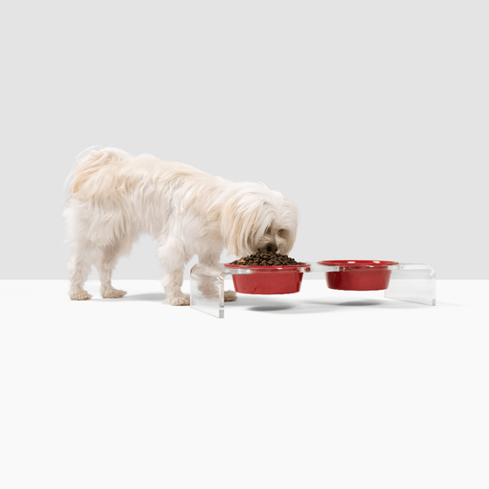 Holiday Double Pet Feeder | Limited Edition