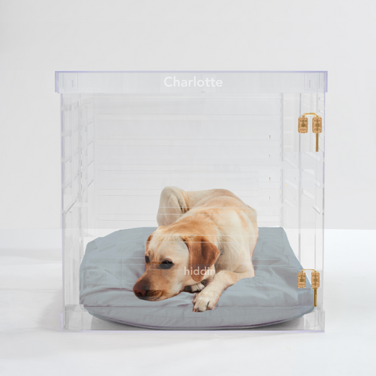 Monogram Large Crate (Gold Latch)