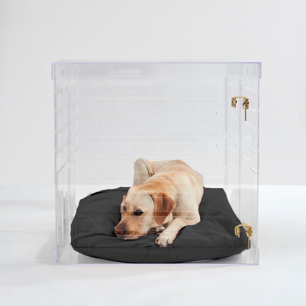 Buy a dog crate online