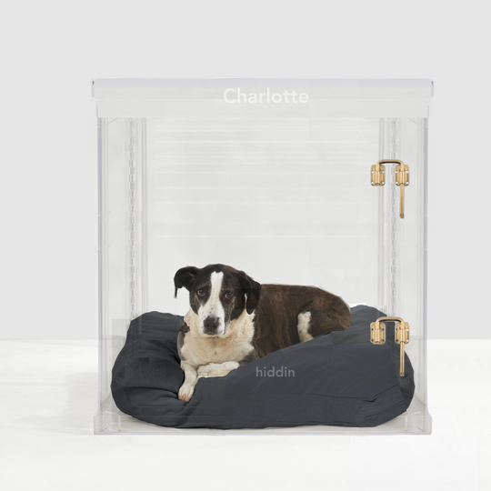 Monogram Large Crate (Gold Latch)