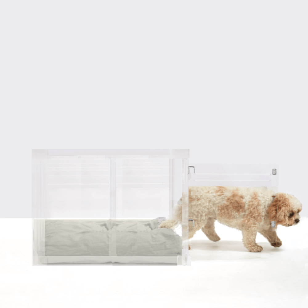 Medium Crate (Silver Latch)