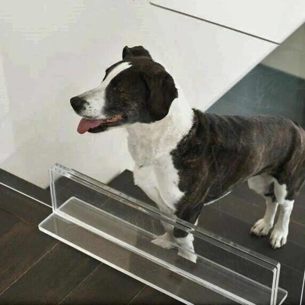 Hiddin 36 Clear Freestanding Pet Gate Panel