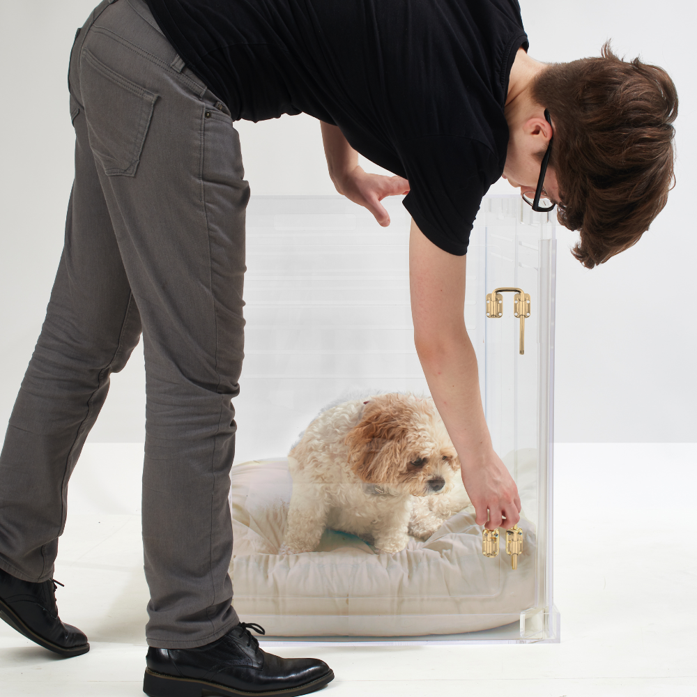 Monogram Medium Crate (Gold Latch)