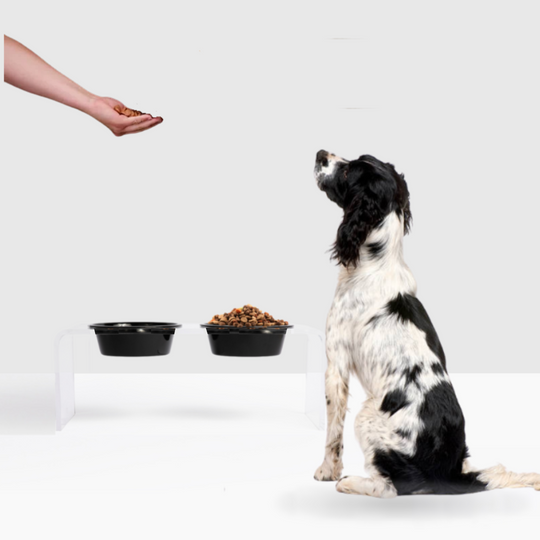 Medium Black & White Feeder