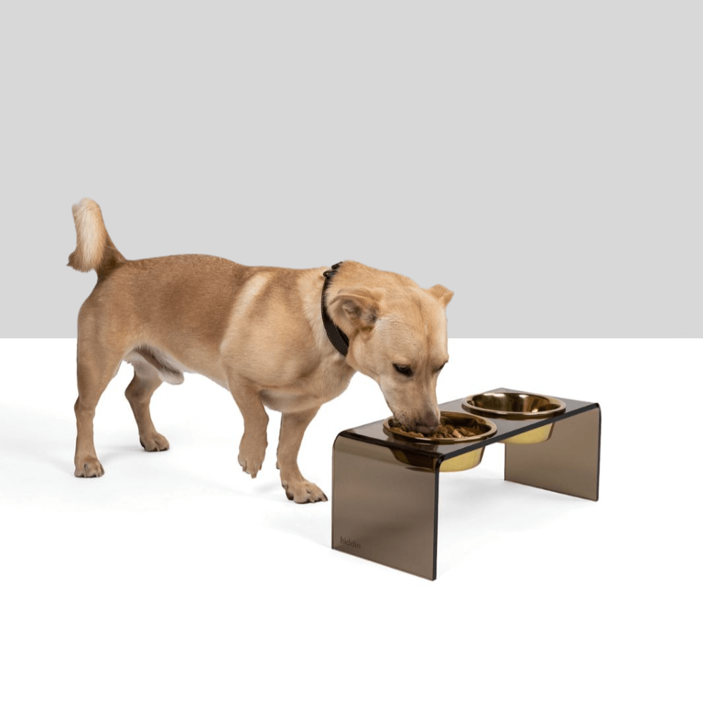 Medium Bronze Feeder