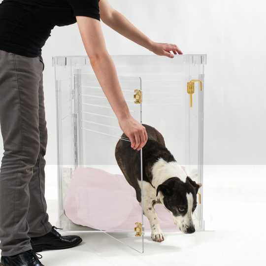 hiddin medium clear lucite dog crate