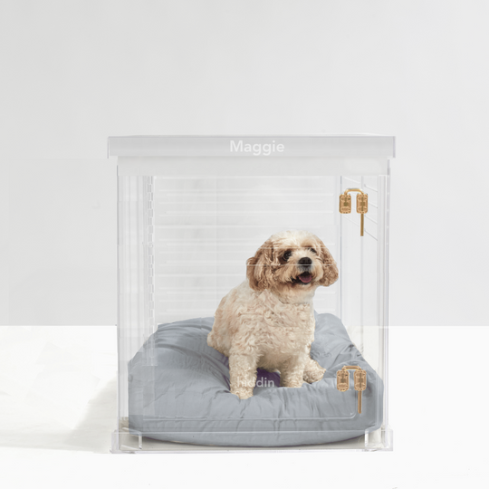 Monogram Medium Crate (Gold Latch)
