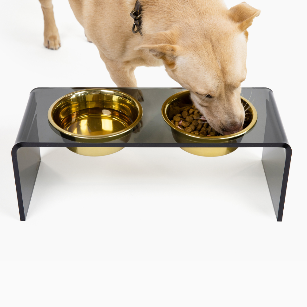 Dog with Tall Smoke Grey Double Bowl Pet Feeder