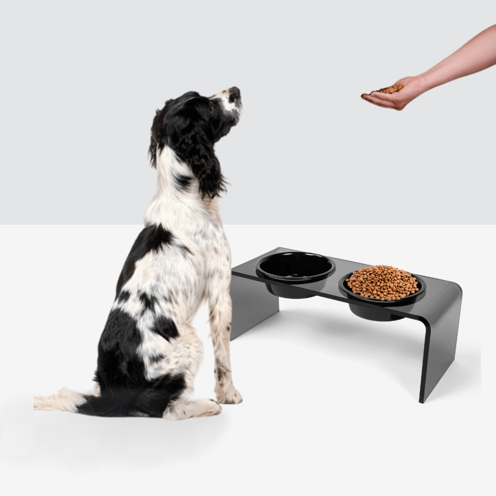 Medium Smoke Grey Feeder