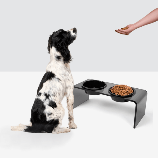 Medium Smoke Grey Feeder