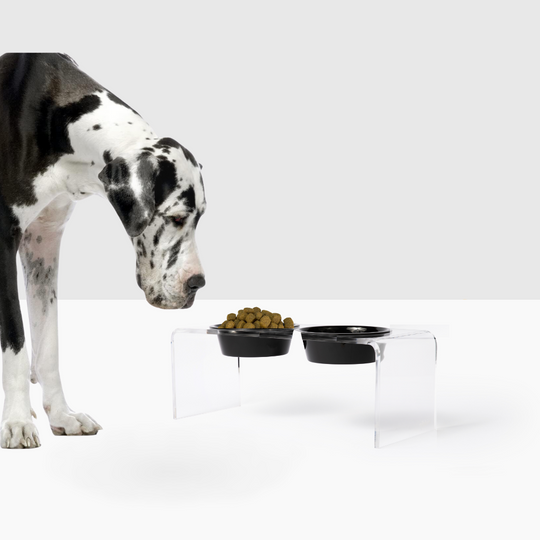 Medium Black & White Feeder