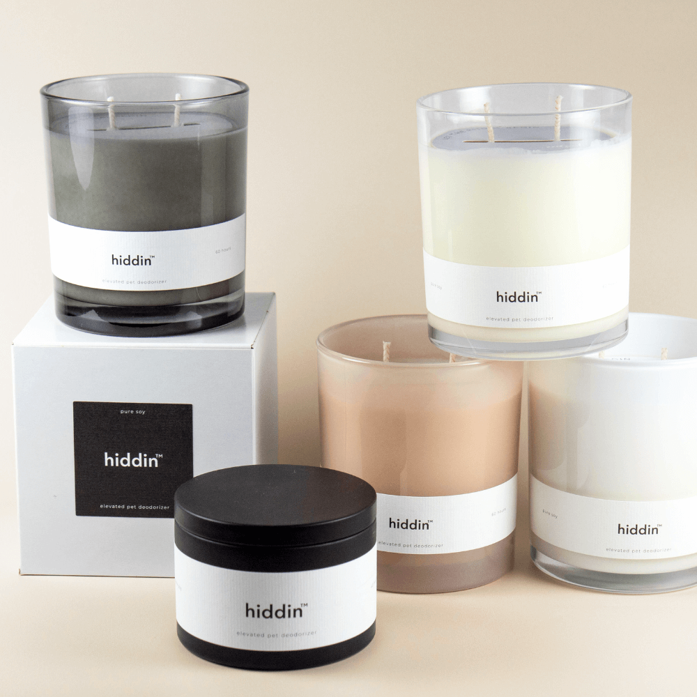 Hiddin Pet Deodorizing Glass Candle