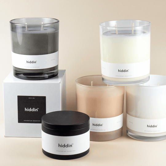 Hiddin Pet Deodorizing Glass Candle
