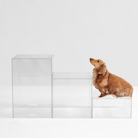 Clear Dog Step Ladder