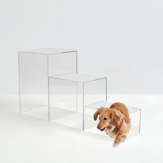 Clear Dog Step Ladder