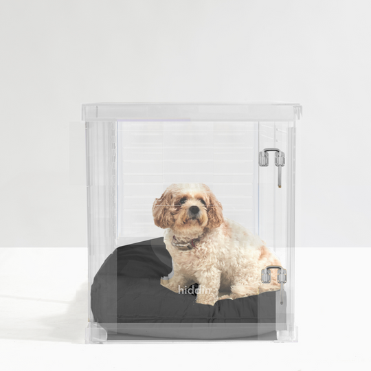 Medium Crate (Silver Latch)