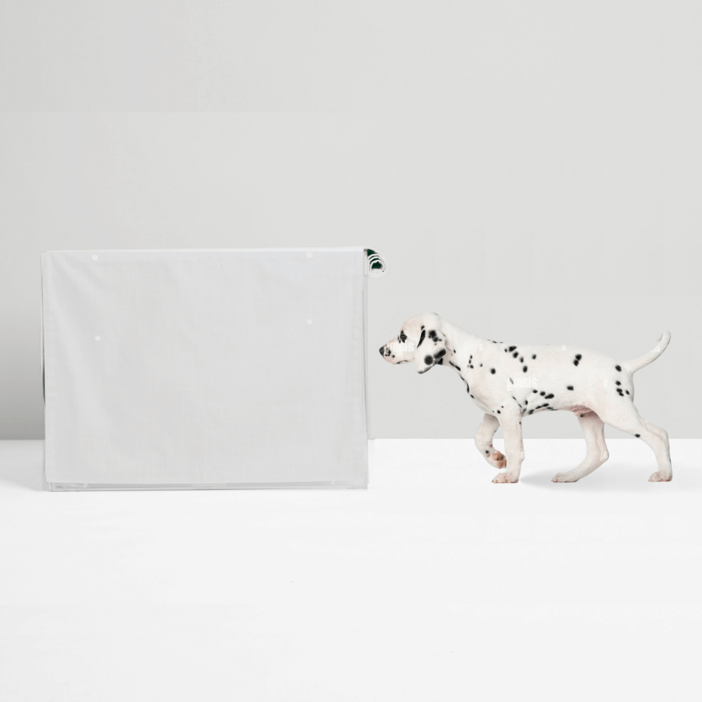 Hiddin Crate Cover & Cushion Set