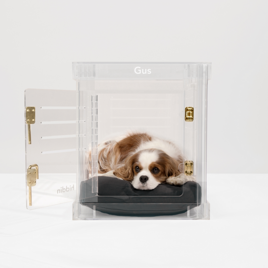 Monogram Small Crate (Gold Latch)